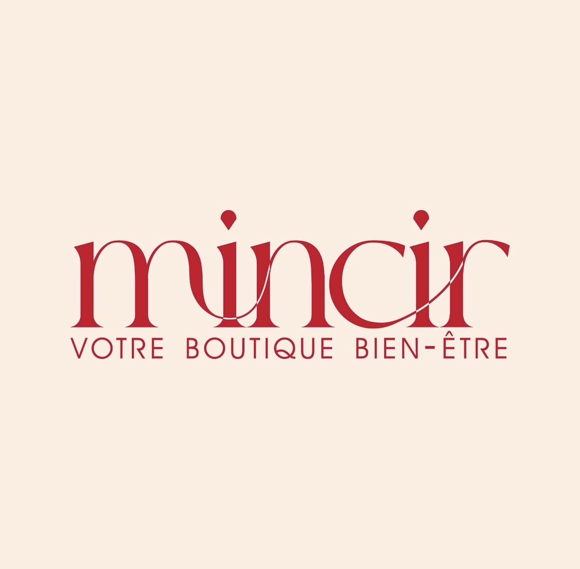 logo de Mincir
