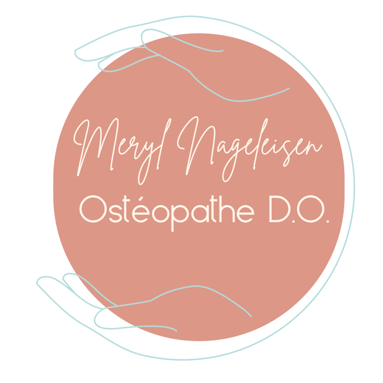 logo de Nageleisen Meryl