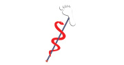 logo de Pédicure Podologue Médisud – Julia Roux
