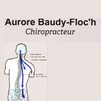 logo de Baudy Floc’h Aurore
