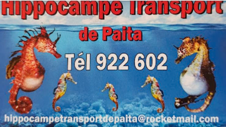 logo de Hippocampe Transport