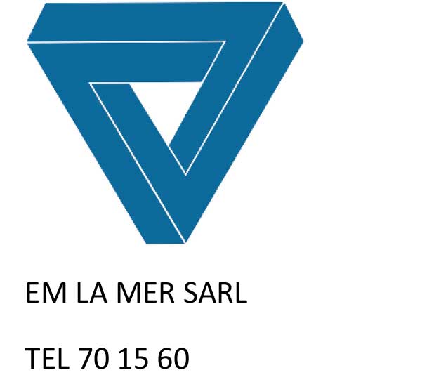logo de EM LA MER