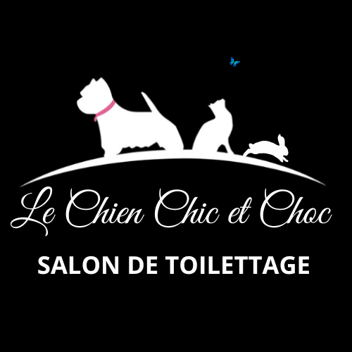 logo de Le Chien Chic & Choc