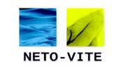 logo de Neto Vite
