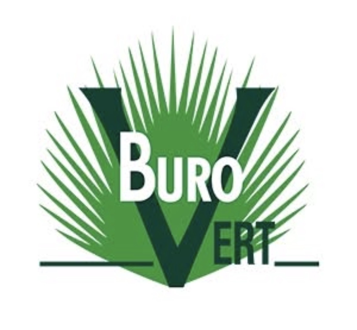 logo de Buro Vert