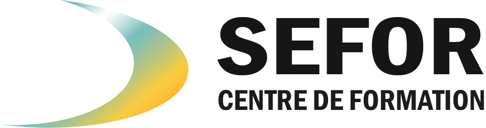 logo de SEFOR Salle 4