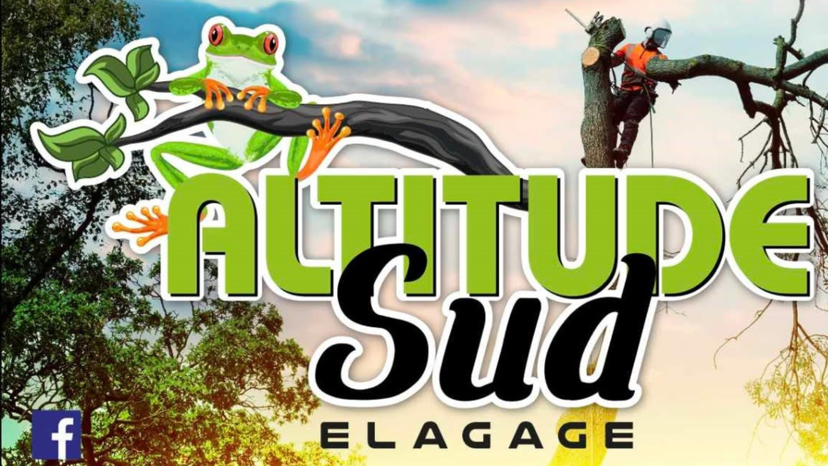 logo de Altitude Sud Elagage