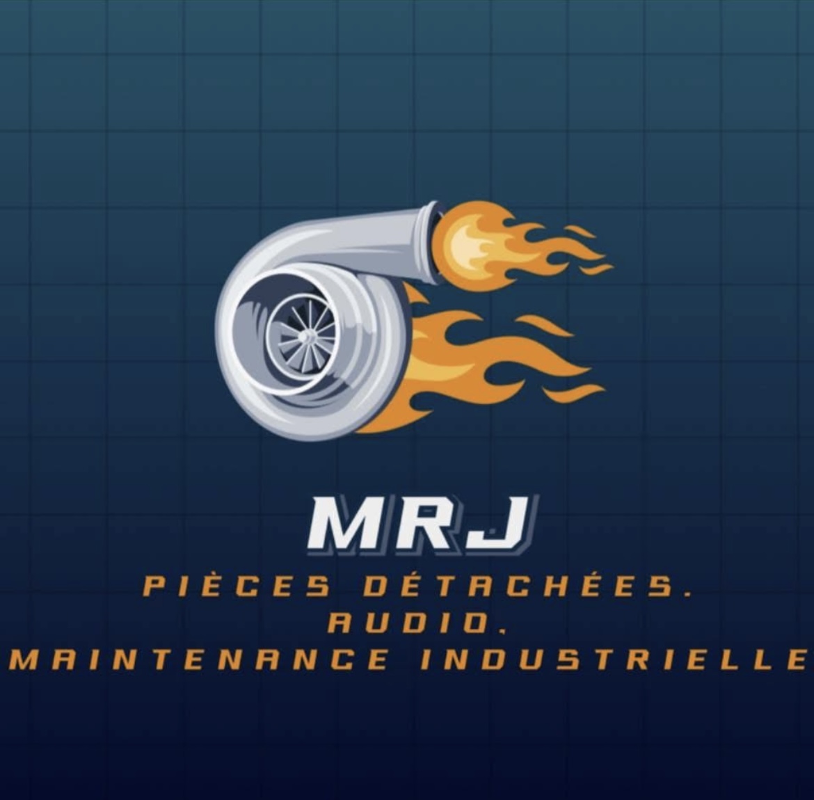 logo de M.R.J Import