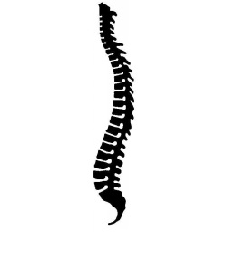 logo de Toussirot Philippe