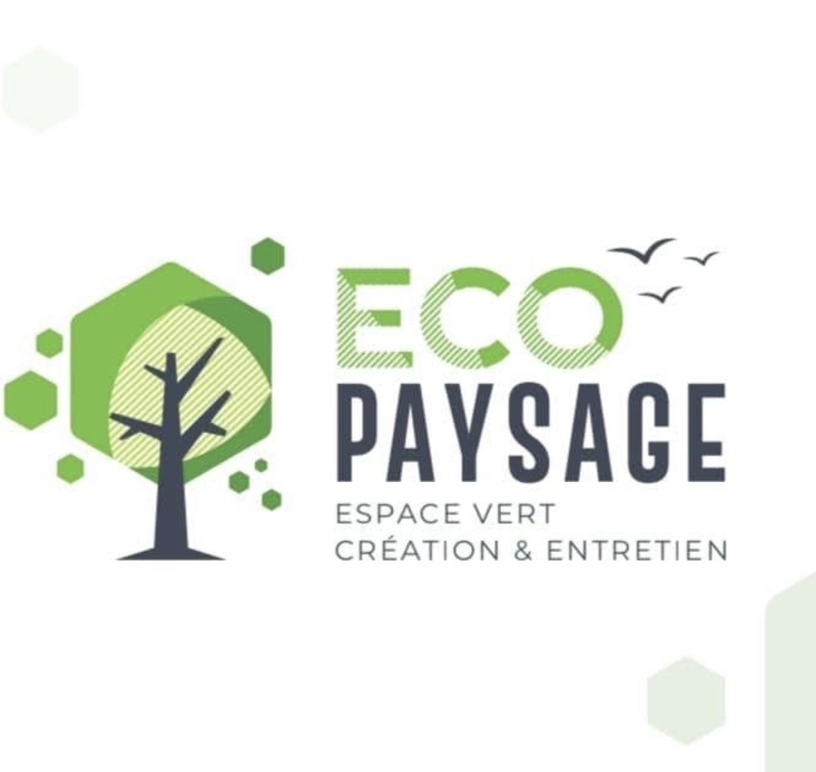 logo de Eco Paysage